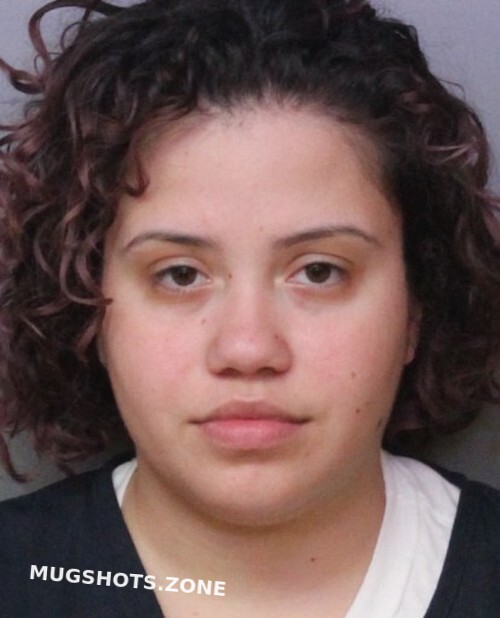 Alvarez Erika Alejandra Polk County Mugshots Zone