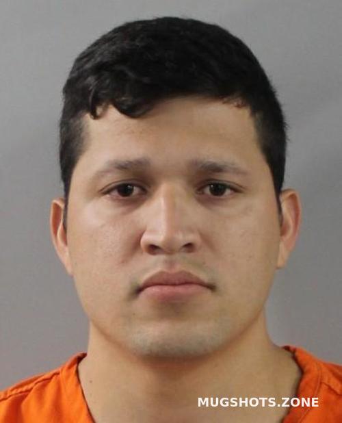 Hidalgo Yepez Luis Polk County Mugshots Zone