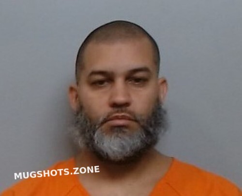 Diaz Citron Elvin Polk County Mugshots Zone