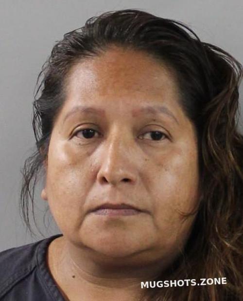 Ruiz Cordova Olga Polk County Mugshots Zone