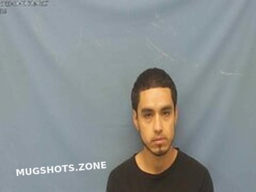 DANIEL ARTURO SAUCEDO 11 03 2022 Pope County Mugshots Zone