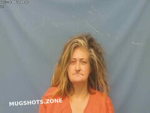 CINDY LOU BROWN 04 17 2023 Pope County Mugshots Zone