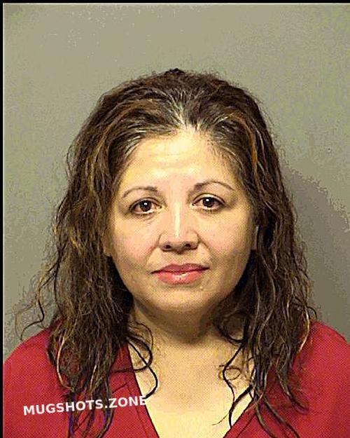 Contreras Rita Porter County Mugshots Zone