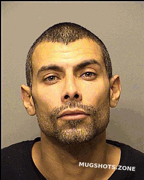 Pagan Carlos Israel Porter County Mugshots Zone