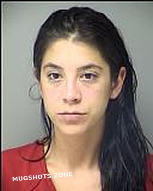 Ochoa Alexis Salina Porter County Mugshots Zone