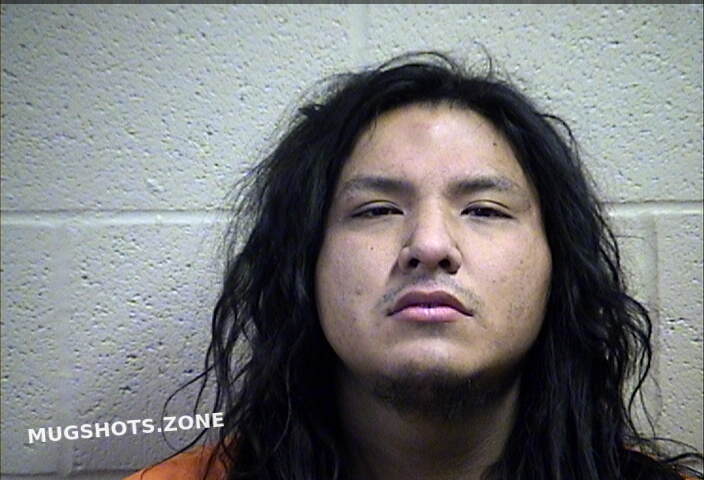 NOVOTNY DAKOTA DEWAYNE 01 05 2023 Pottawatomie County Mugshots Zone