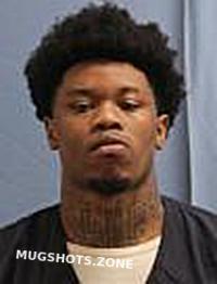 NELSON MARTEZ 02 03 2024 Pulaski County Mugshots Zone