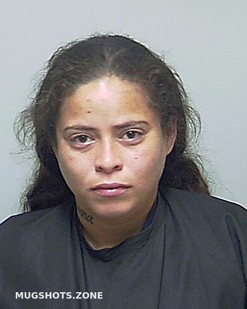 Martinez Ayala Kaelis Rafaela Putnam County Mugshots Zone