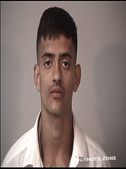 Kandeel Aly Ayman Rappahannock Regional Jail Mugshots Zone