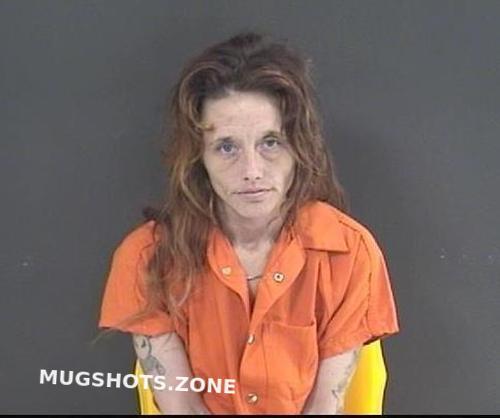 Jordan Brandy Lynn Roanoke Mugshots Zone