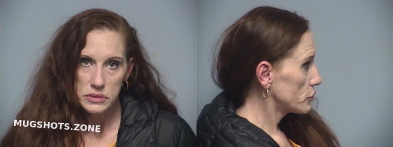 Deel Tracy Michelle Roanoke Mugshots Zone