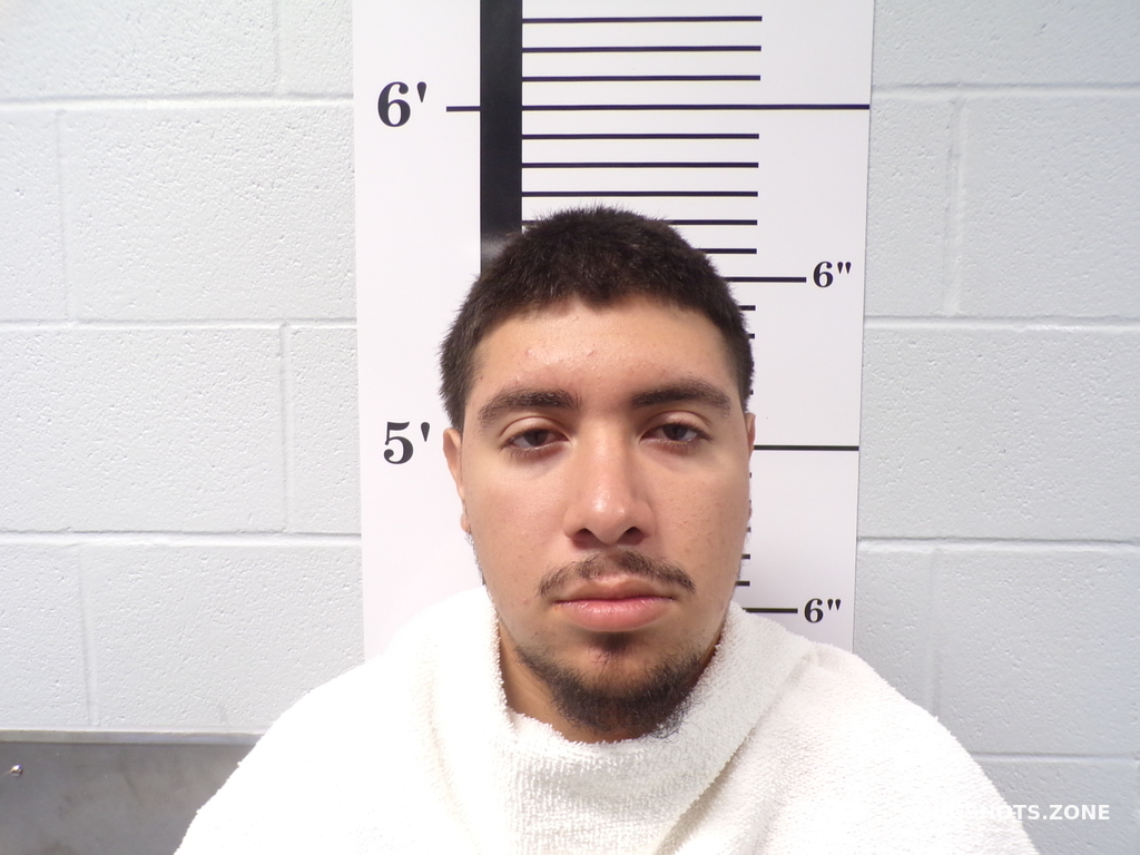 Celis Daniel Rockwall County Mugshots Zone