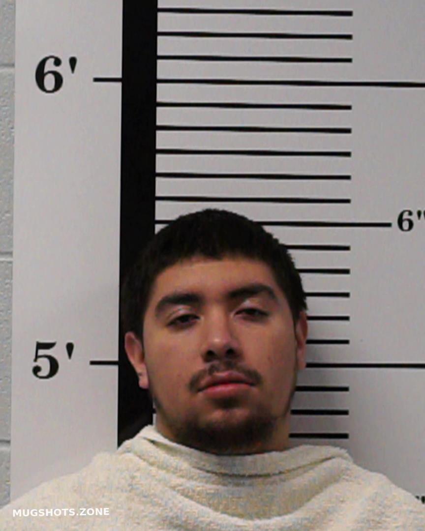 Celis Daniel Rockwall County Mugshots Zone