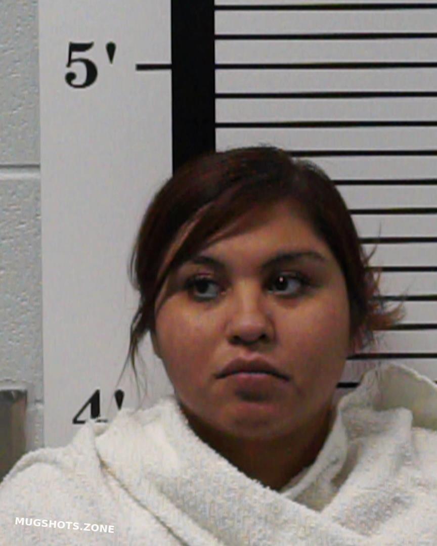 CASTILLO VANESSA 11 03 2023 Rockwall County Mugshots Zone