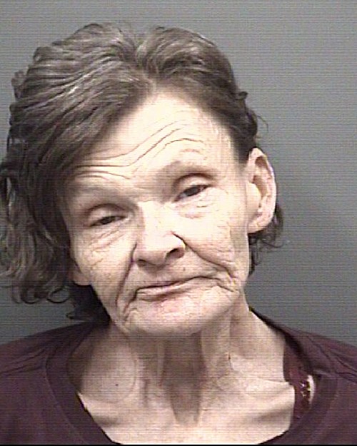 BRINDLE SHERRY MESSER 02 23 2021 Rowan County Mugshots Zone