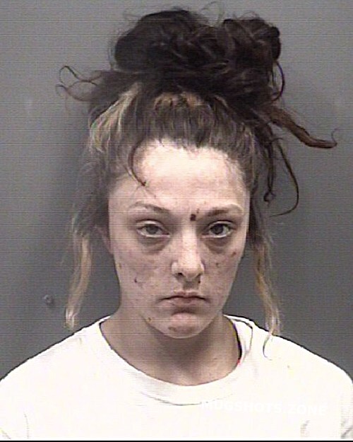 Gilbert Carrie Savannah Rowan County Mugshots Zone