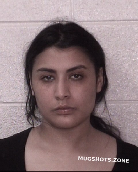 MEKHAIEL NANCY SAMIR 08 29 2022 Rutherford County Mugshots Zone