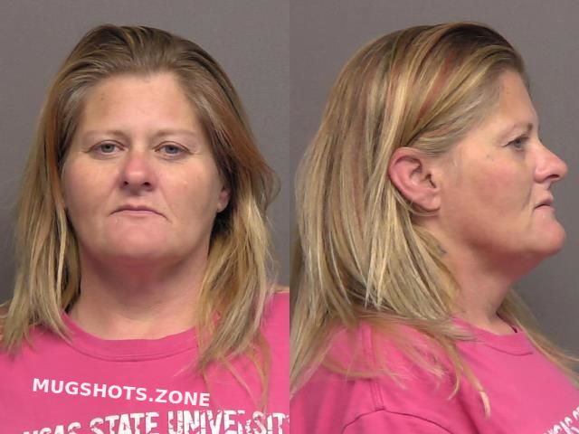 Webb Mandee Marie Saline County Mugshots Zone