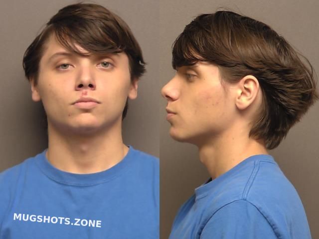 Dimaplas Christian Tyler Saline County Mugshots Zone