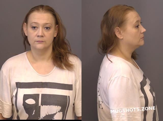 Goheen Christina Renee Saline County Mugshots Zone