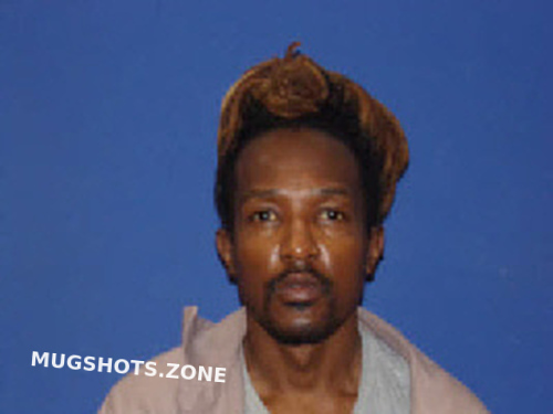 DAVIS JARROD EUGENE 02 23 2023 Sampson County Mugshots Zone