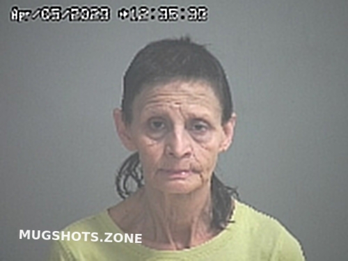 ROBERTSON AMY S 04 05 2023 Sandusky County Mugshots Zone