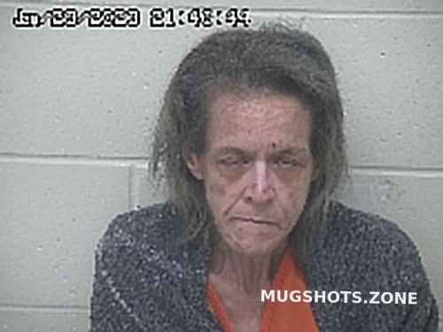 Wolfe Sheila Scioto County Mugshots Zone