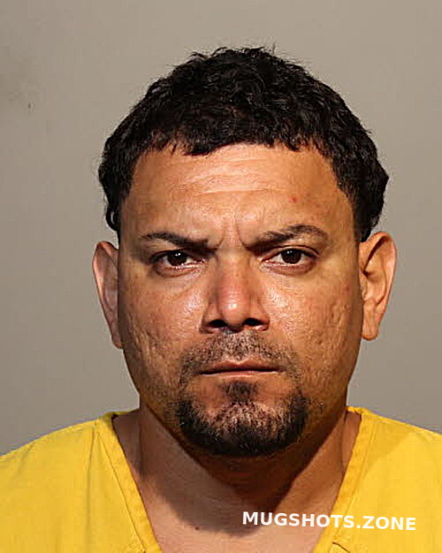 Carlos Lopez Velez Seminole County Mugshots Zone