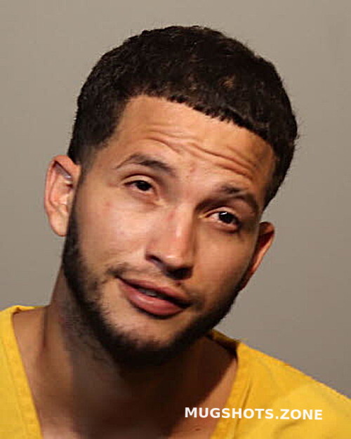 Bryan Ortega Seminole County Mugshots Zone