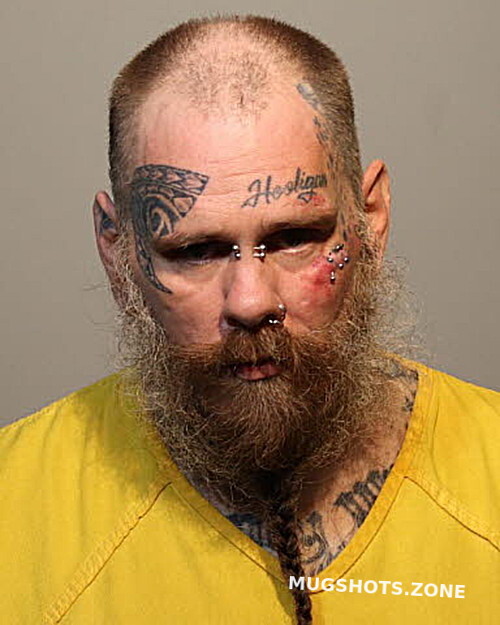 Harry Higgins Seminole County Mugshots Zone