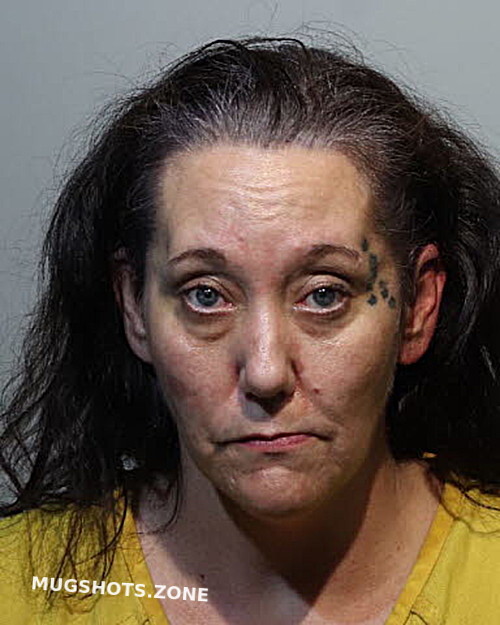 Brandy Stevenson Seminole County Mugshots Zone