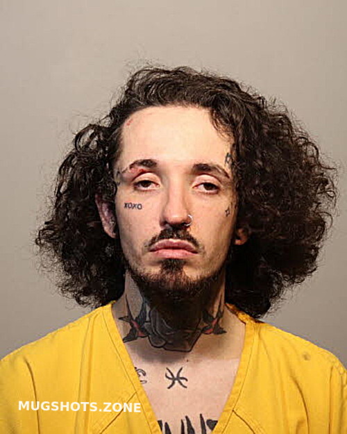 Ryan Romaine Seminole County Mugshots Zone