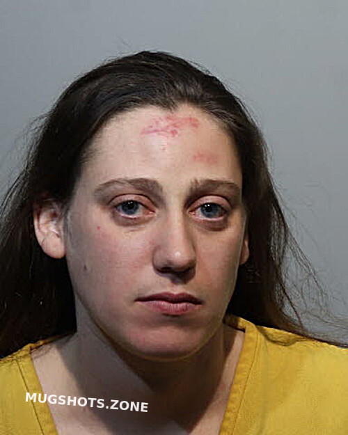 Diana Braun Seminole County Mugshots Zone