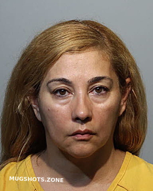 Elizabeth Gonzalez Seminole County Mugshots Zone