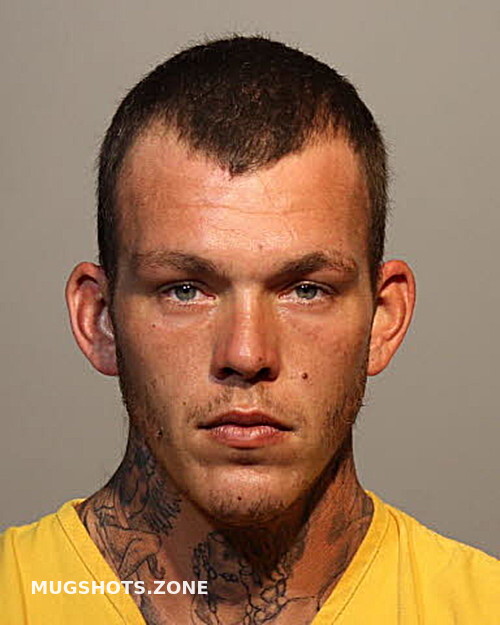 Dalton Bothwell Seminole County Mugshots Zone