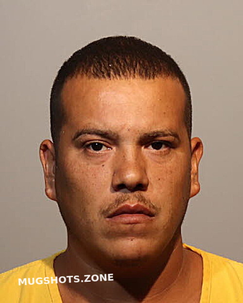 Rafael Perez Seminole County Mugshots Zone