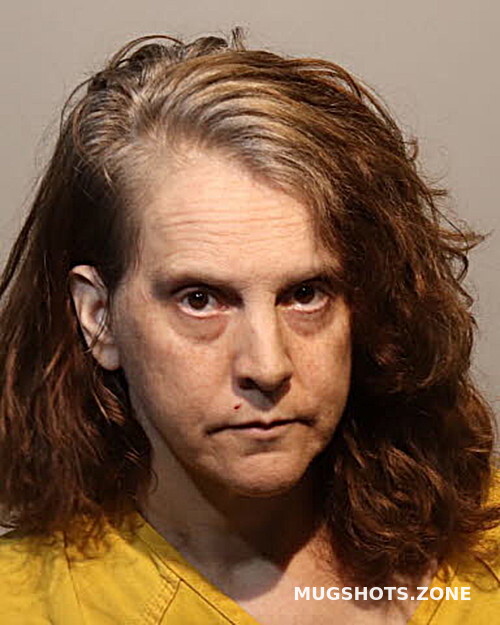 Jennifer Johnston Seminole County Mugshots Zone