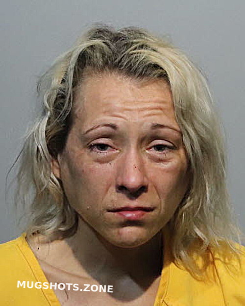 Erica Taltos Seminole County Mugshots Zone