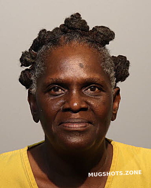 Teresa Butler Seminole County Mugshots Zone