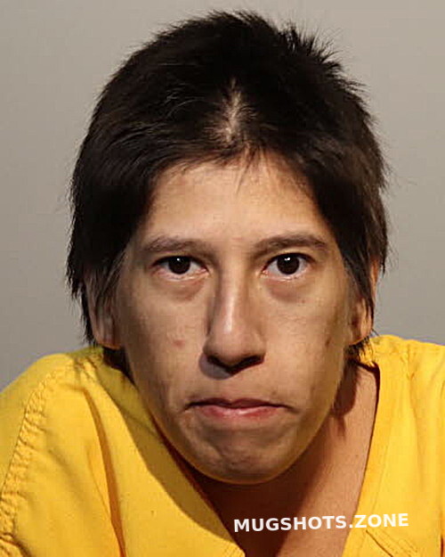 Ayreana Gonzalez Seminole County Mugshots Zone