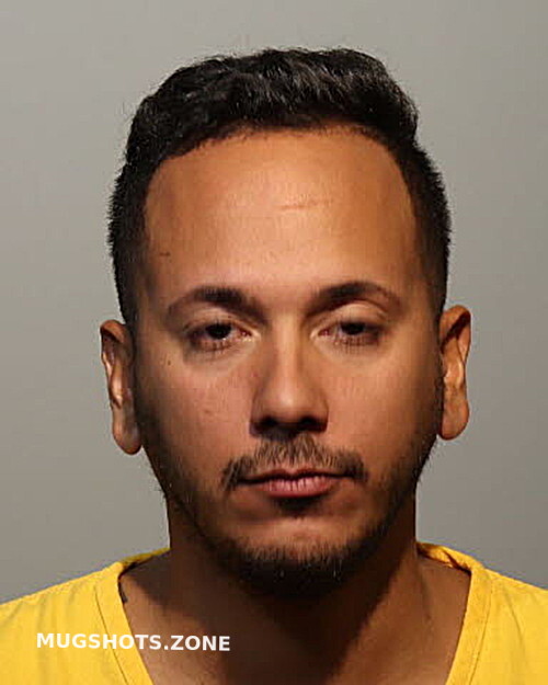 Nelson Mateo Cruz Seminole County Mugshots Zone