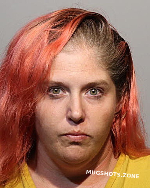 Erica Brunelle Seminole County Mugshots Zone