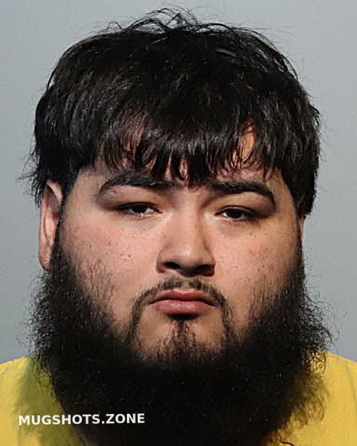 Michael Pena Seminole County Mugshots Zone