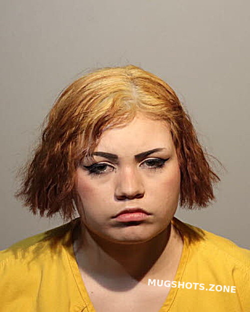 JASMINE BARRIENTO 02 23 2024 Seminole County Mugshots Zone