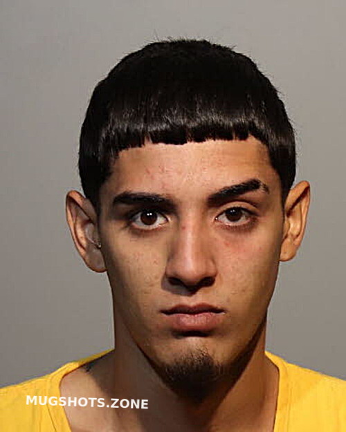 YADRIEL GONZALEZ TORRES 05 23 2024 Seminole County Mugshots Zone