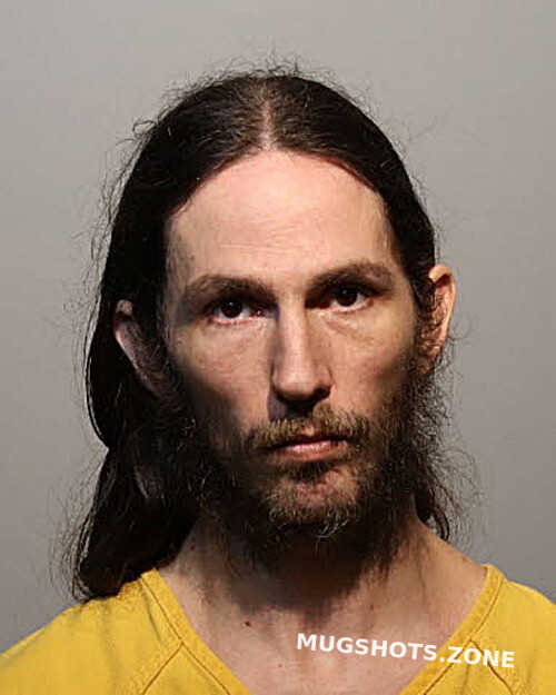 Aron David Seminole County Mugshots Zone