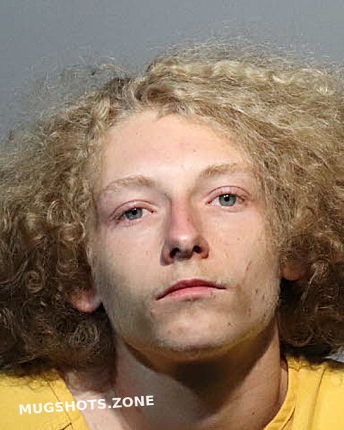 ALEX HEAD 06 16 2024 Seminole County Mugshots Zone