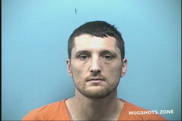 REID ADRIAN LOUIS JR 03 19 2024 Shelby County Mugshots Zone