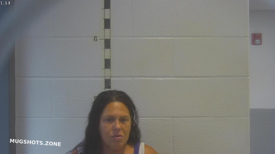 Johns Robin Renee Shelby County Mugshots Zone