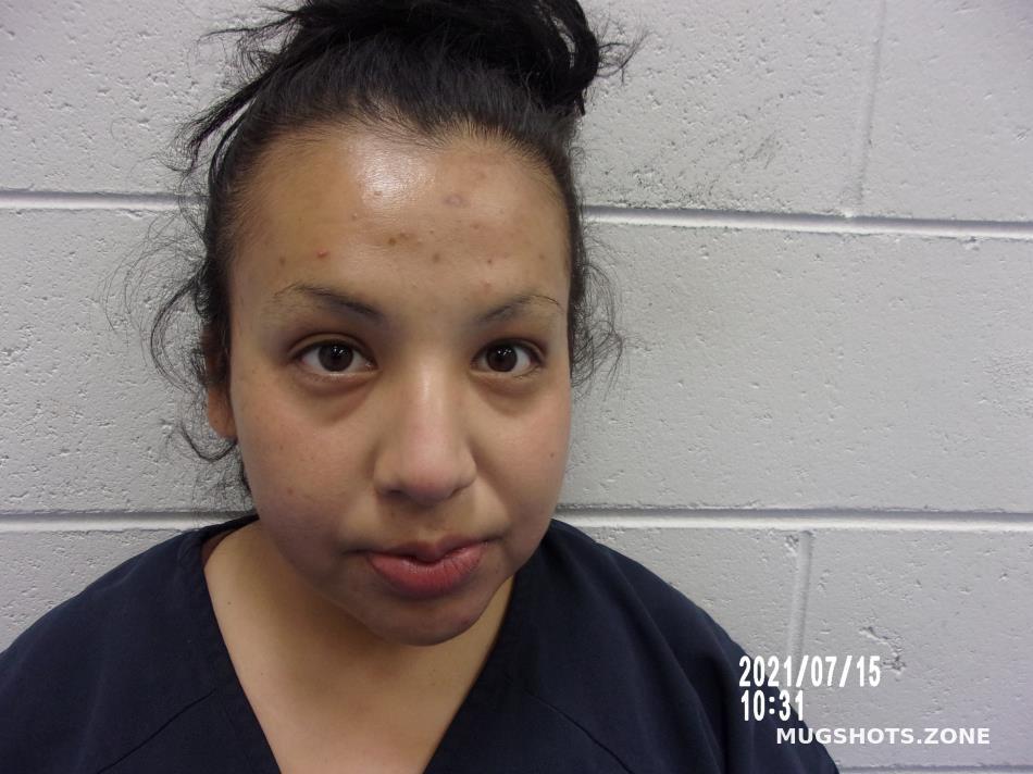 Hinojosa Vanessa Socorro County Mugshots Zone